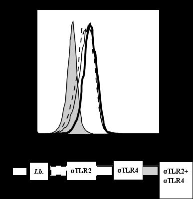 Viabilidade de Promastigotas (x1 5 ) % GFP+ 1 8 6 4 2 + Figura 1: Frequência de monócitos de pacientes com LC infectados com L.braziliensis GFP+ após a neutralização do TLR2 e do TLR4.