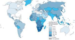 Todas as formas de TB TB associada a VIH TB multirresistente Número estimado de casos 8,6 milhões (8,3-9,0 milhões) 0,5 milhões de crianças 2,9 milhões de mulheres 1,1 milhões (1,0-1,2 milhões) (13%