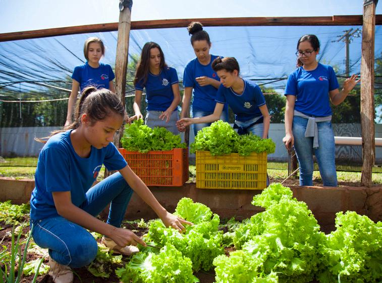 Os conteúdos dos cursos são referentes aos cinco hábitos saudáveis apoiados pelo projeto: 1. Escolha opções nutritivas e variadas 2. Brinque ativamente 3.