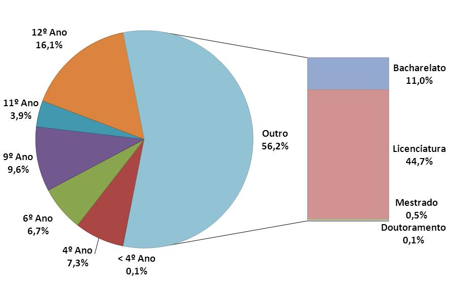 Hospital do Espírito Santo de Évora, E.P.E. Balanço Social 2010 Mais uma vez se verifica que a habilitação Licenciatura e 12.