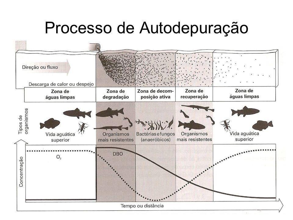 A autodepuração é um processo que se desenvolve ao longo do curso d água de maneira predominantemente longitudinal.