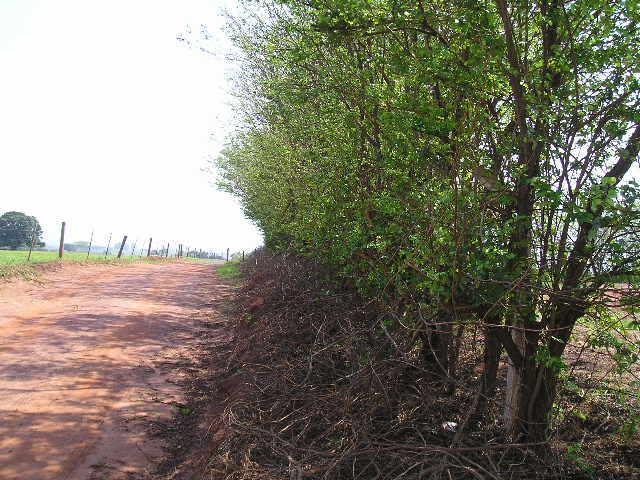 21 OPERAÇÃO ADEQUADA DO ATERRO EM VALAS VEGETAÇAÕ NO ENTORNO DO ATERRO EM VALAS. DRENAGEM ADEQUADA NA AREA DO ATERRO COBERTURA ADEQUADA DAS VALAS NO ATERRO. Outros comentários: 1.