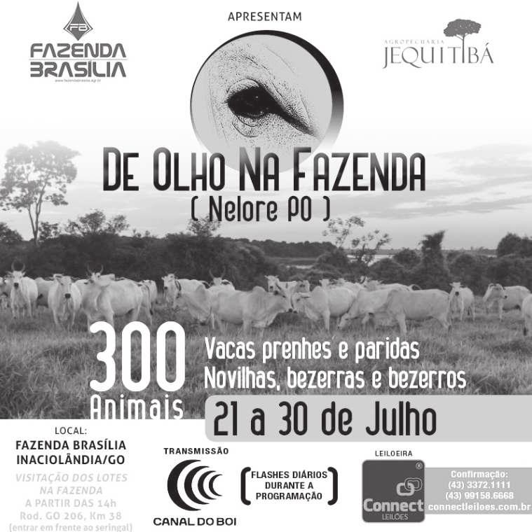 No último dia, haverá o 2º Encontro das Famílias com Cristo, no Teatro Municipal Maria Pires Perillo, às 8h, informa o padre José Maria de Oliveira.