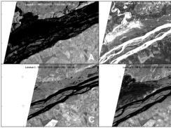 A figura 2A mostra a calha fluvial completamente cheia (água em tom escuro), com as copas das árvores ainda emersas.