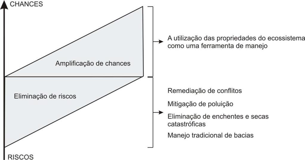 Figura 1.3. A diretriz sistêmica como fator amplificador de sucesso do plano de bacia. Fonte: Zalewski, 2002.