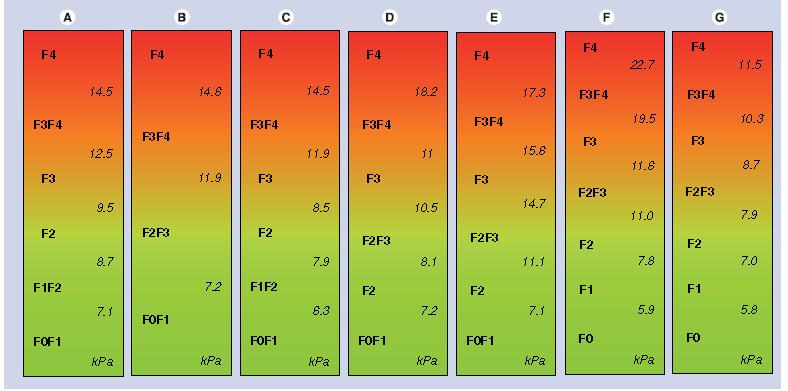 60 Para a interpretação dos valores da elastografia transitória hepática por FibroScan utilizamos os parâmetros da figura 5, segundo a qual cinco faixas de valores, expressos em unidades KiloPascais