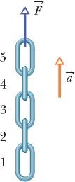 5-43, uma corrente composta por cinco elos, cada um com 0,100 kg de massa, é erguida verticalmente com uma aceleração constante de módulo a = 2,50 m/s 2.