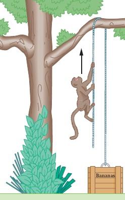 Figura 5-54 Problema 59. 60 A Fig.