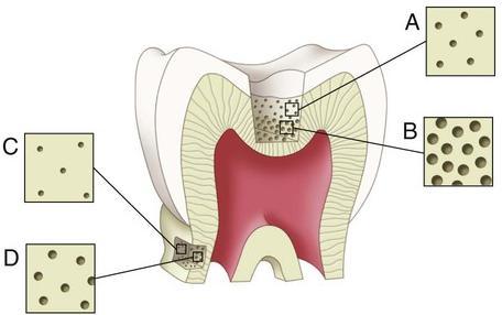 Introdução et al., 2009; Liu et al., 2011; Marchesi et al., 2014).