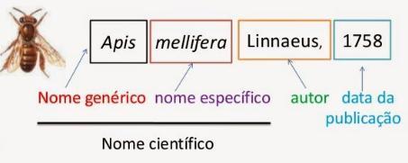 Nomenclatura Científica Único sistema de