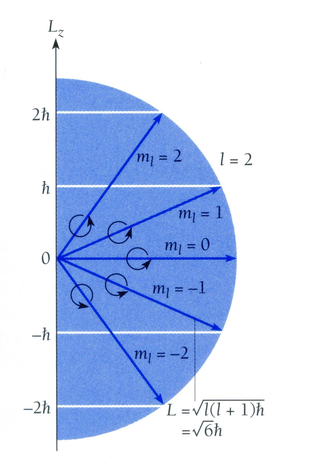 Considerando a direção do campo magnético paralela ao eixo z, a componente de L nesta direção será: L z =ml ℏ Com ml = 0 ± 1, ±,, ±l. Assim o número de orientações possíveis é l +1.