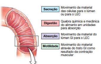 Os 4 processos do