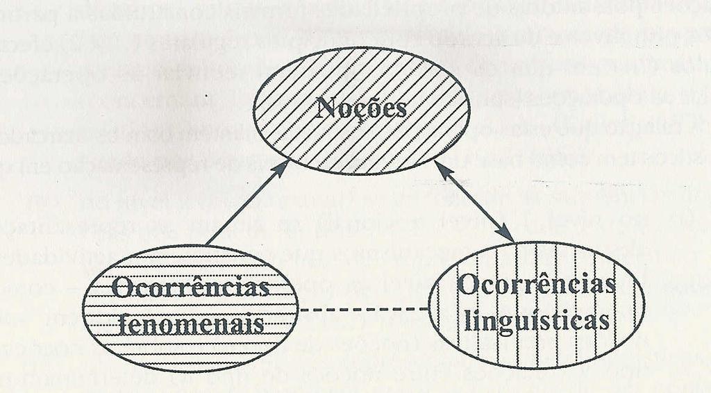 conceptualmente - três diferentes tipos de noções: (a) noções lexicais (predicativas), que nas línguas se manifestam de acordo com as classes de palavras existentes nessas línguas.