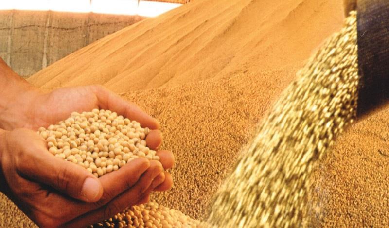 Milho Imea reduz previsão de safra de soja 2015/2016 Mato Grosso não terá uma safra recorde como foi projetado no começo da temporada, mas deve atingir 28,03 milhões de toneladas.