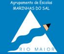 Agrupamento de Escolas Marinhas do Sal Rio Maior ANO LETIVO 2018/2019 CRITÉRIOS GERAIS DE AVALIAÇÃO Regime geral de avaliação Artigo 16.