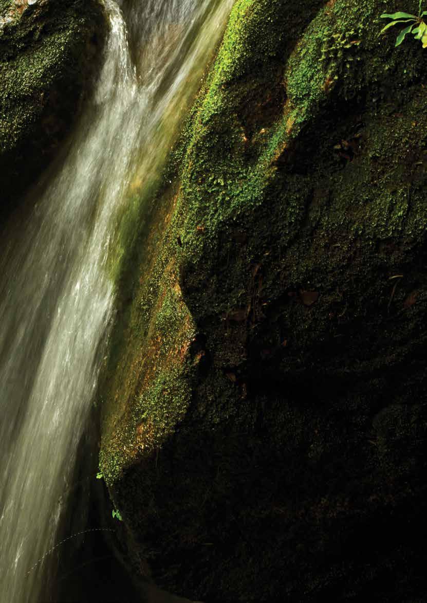 PARQUES E UNIDADES DE CONSERVAÇÃO (UCs) 1 E.E.E. de Guaxindiba 2 MONA Serra da Beleza 3 MONA Serra da Canastra 4 R.E da Juatinga 5 REBIO da Praia do Sul 6 REBIO de Guaratiba 7 REBIO de Araras 8 P.E. da Ilha Grande 9 P.