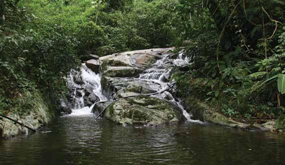 11. PROJETO DE FORTALECIMENTO HISTÓRICO-CULTURAL DOS POVOS QUILOMBOLAS DO PARQUE ESTADUAL DA PEDRA BRANCA (PEPB), NA ZONA OESTE Objetivo geral: Promover atividades de educação ambiental do PEPB,