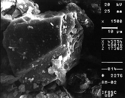 Anexo 2 - Fotografias no Microscópio Eletrônico de Varredura Observações: Notar a presença de mica e caulinita não laterizada.