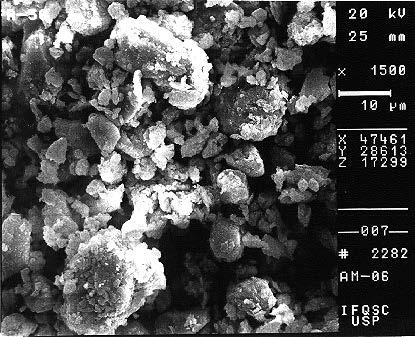 Anexo 2 - Fotografias no Microscópio Eletrônico de Varredura