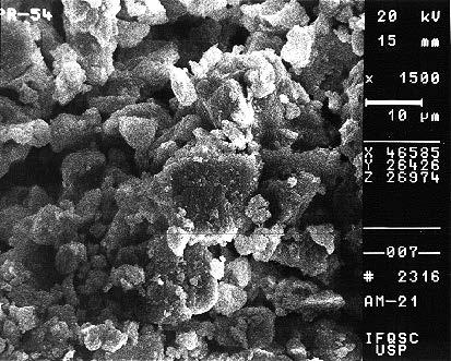 Anexo 2 - Fotografias no Microscópio Eletrônico de Varredura