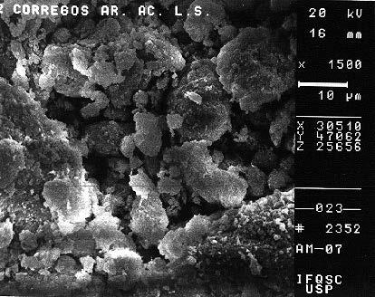 Anexo 2 - Fotografias no Microscópio Eletrônico de Varredura Nome