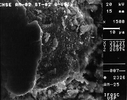 Anexo 2 - Fotografias no Microscópio Eletrônico de Varredura Observações: Notar a