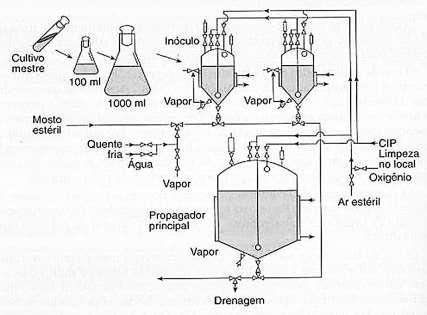 Fermentação Alcoólica Diagrama esquemático de