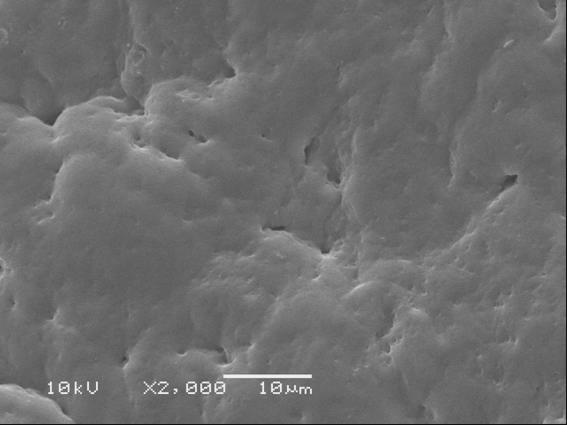 A Figura 53 apresenta as micrografias obtidas por MEV/SEI para os TPE-Vs reticulados com Peroximon em função da adição