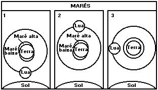 Exercícios de Movimentos da Lua Observe as proposições, tomando por referências a figura a seguir.