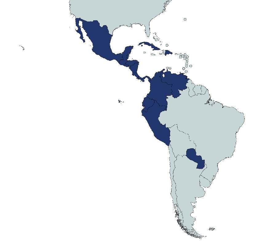 Equador Paraguai Peru Representantes Internacionais Caribe Comercial, S.R.L.