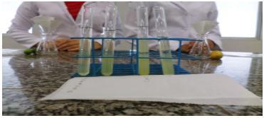 Resultados e Discussão Foi possível observar que, em algumas amostras, ocorreu a formação de uma mistura contendo DNA e pectina, estas consistem em complexos de polissacarídeos estruturais presentes