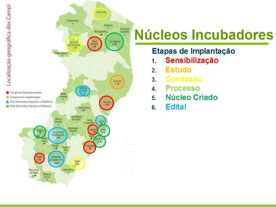 3) ATIVIDADES E PROGRAMA EM REDE O Programa Institucional em Rede de Incubação de Empreendimentos do Ifes, articula e integra ações