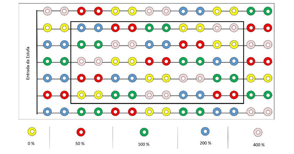 Figura 2: Disposição dos tratamentos na área útil e dos tratamentos de bordadura do cultivo realizado; Amarelo=Água mineral, Vermelho=50%, Verde=100%, Azul=200% e Rosa=400 % da dose de N recomendada