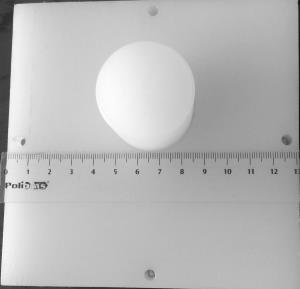 A força para pressionar o botão podia ser manipulada trocando-se a mola interna que sustenta o botão (Figura 1, Painel C). O aparato era ligado ao computador pela porta USB.