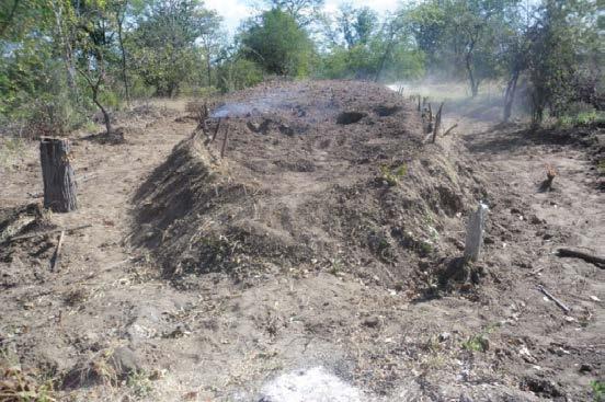 Desmatamento na Paisagem do Corredor da Beira os distritos de Dondo e Nhamatanda, a cidade de Quelimane, os distritos de Nicoadala e Namacurra.