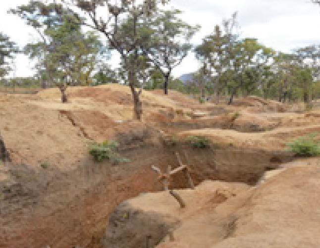Desmatamento na Paisagem do Corredor da Beira Figura 48: Erosão e devastação da cobertura da terra decorrente da mineração nos distritos de Gilé e Bárue Em debates sobre o REDD+ e o impacto da