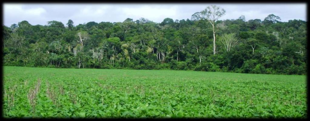 Reserva Legal: área localizada no interior de uma propriedade ou posse rural com a função de assegurar o uso econômico de modo sustentável dos recursos naturais do imóvel