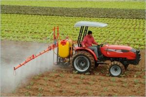 Surgimento de uma Burguesia Rural As agroindústrias que estabelecem a integração com produtores familiares desejam manter este tipo de relação e não estão interessadas em se estabelecer na terra