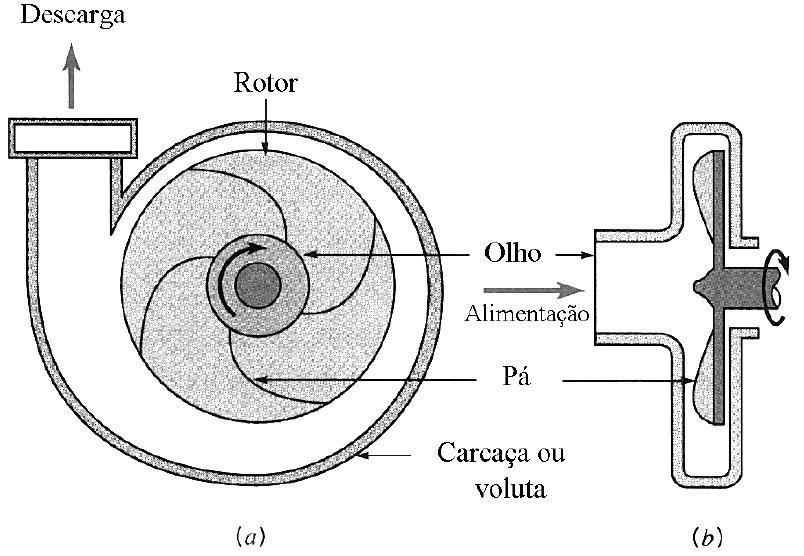 Bomba Centrífuga Componentes: (1) rotor que contém uma série de pás, montado num eixo; e (2) carcaça (voluta).