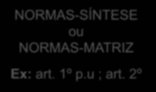 PRINCÍPIOS FUNDAMENTAIS (RELEVÂNCIA JURÍDICA) NORMAS-SÍNTESE ou NORMAS-MATRIZ Ex: art. 1º p.u ; art.
