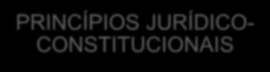 PRINCÍPIOS CONSTITUCIONAIS POSITIVOS CATEGORIAS PRINCÍPIOS POLÍTICO- CONSTITUCIONAIS