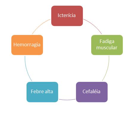 As acadêmicas do curso de Medicina desenvolveram um projeto, junto à Secretaria de Saúde do Município de Urucânia, no período de 22 a 26 de Janeiro, 2018, onde foram realizadas diversas palestras e