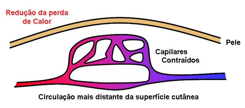 Efeitos térmicos