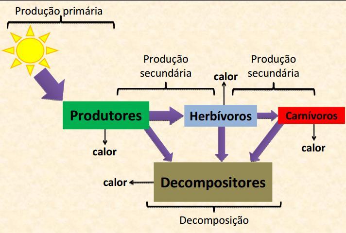 Taxa de