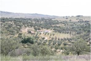 Internacional Monte Barata Linhas