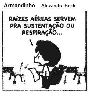 Lista de exercícios Aluno (a): Turma: 3ª Série.