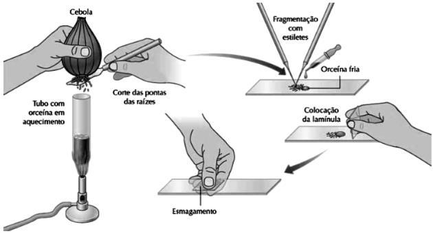 Questão 05) Dona Patrícia comprou um frasco com 100 gramas de alho triturado desidratado, sem sal ou qualquer conservante.