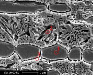 116 Foram realizadas análises por EDS nas amostras envelhecidas a 750 C após o ensaio DL-EPR para identificação das fases não dissolvidas.