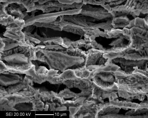 120 Figura 5.35 - Imagem elétrons secundários da amostras envelhecida por 4h a 800 C após ensaio potenciostático a - 280 mv. De maneira similar à realizada para 750 C a Figura 5.