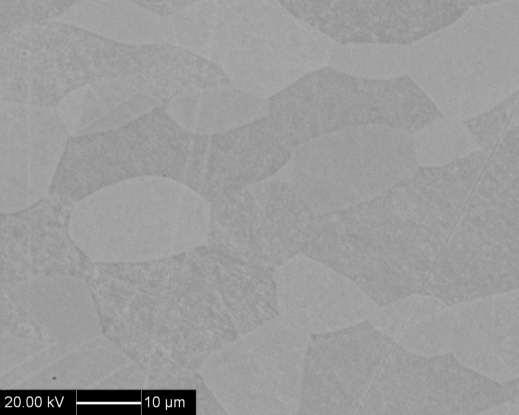 47 Figura 4.2 Imagem de elétrons secundários da amostras solubilizada a 1175 C por 30 min.